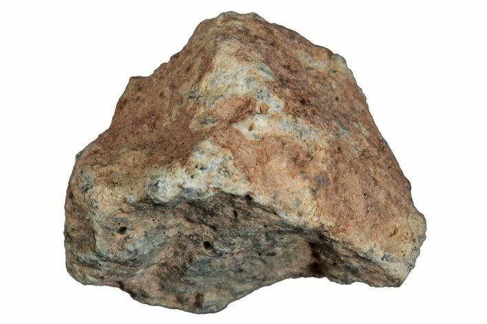 Lunar Meteorite ( g) - Bechar #288495